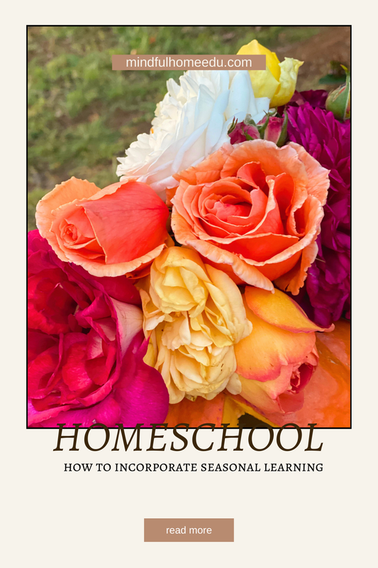 Creative Ways to Incorporate Australian Seasons into Your Homeschool Curriculum