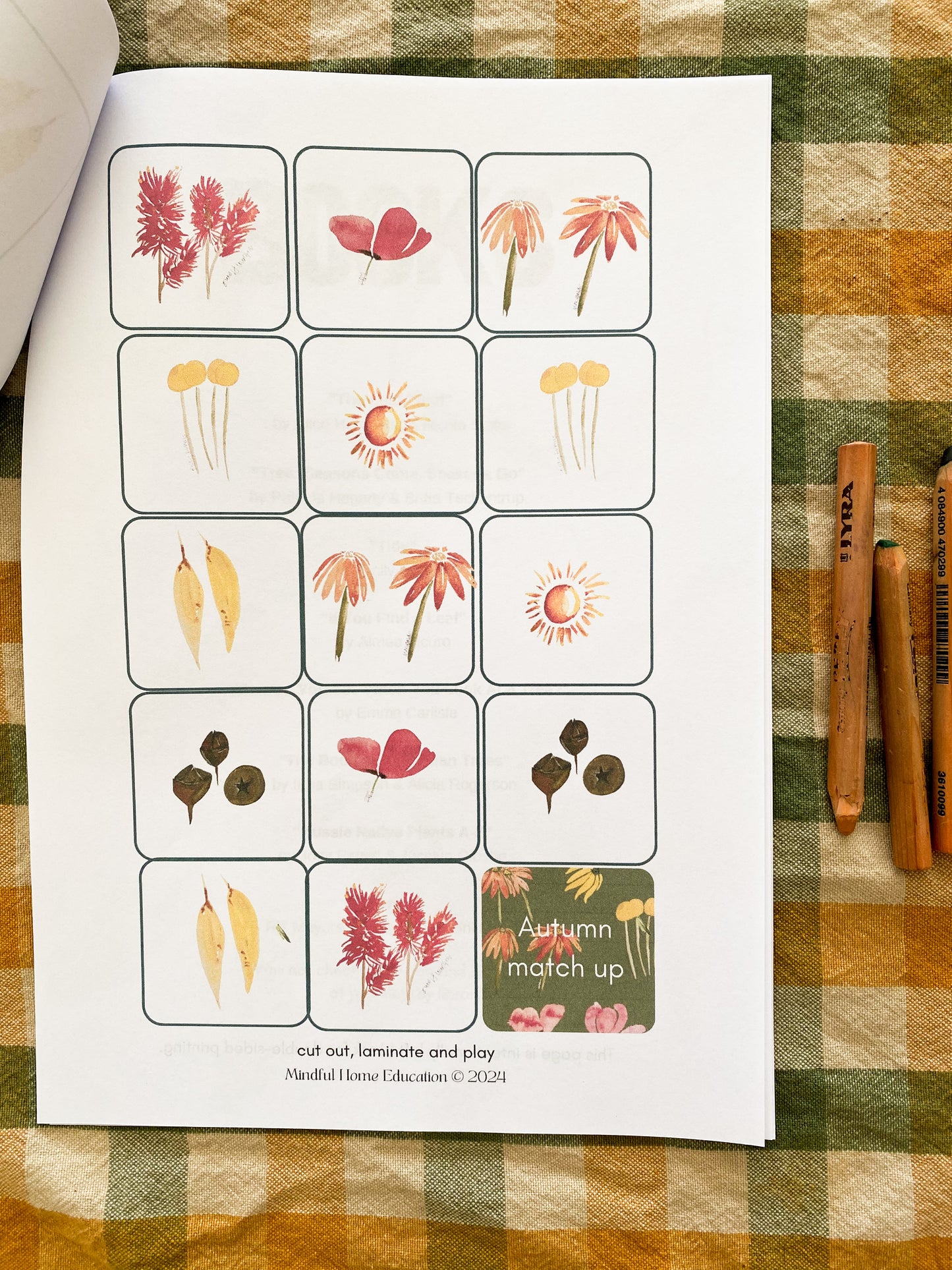 An Evergreen Autumn - Australian Curriculum Workbook (Foundation - Year 3) Print at Home