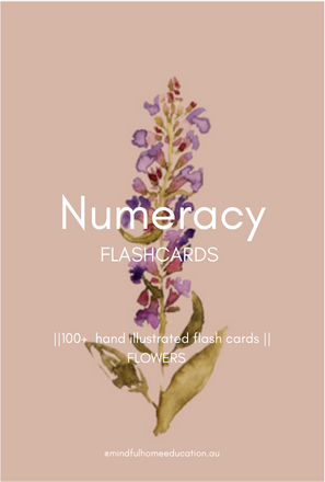 Numeracy Flashcards