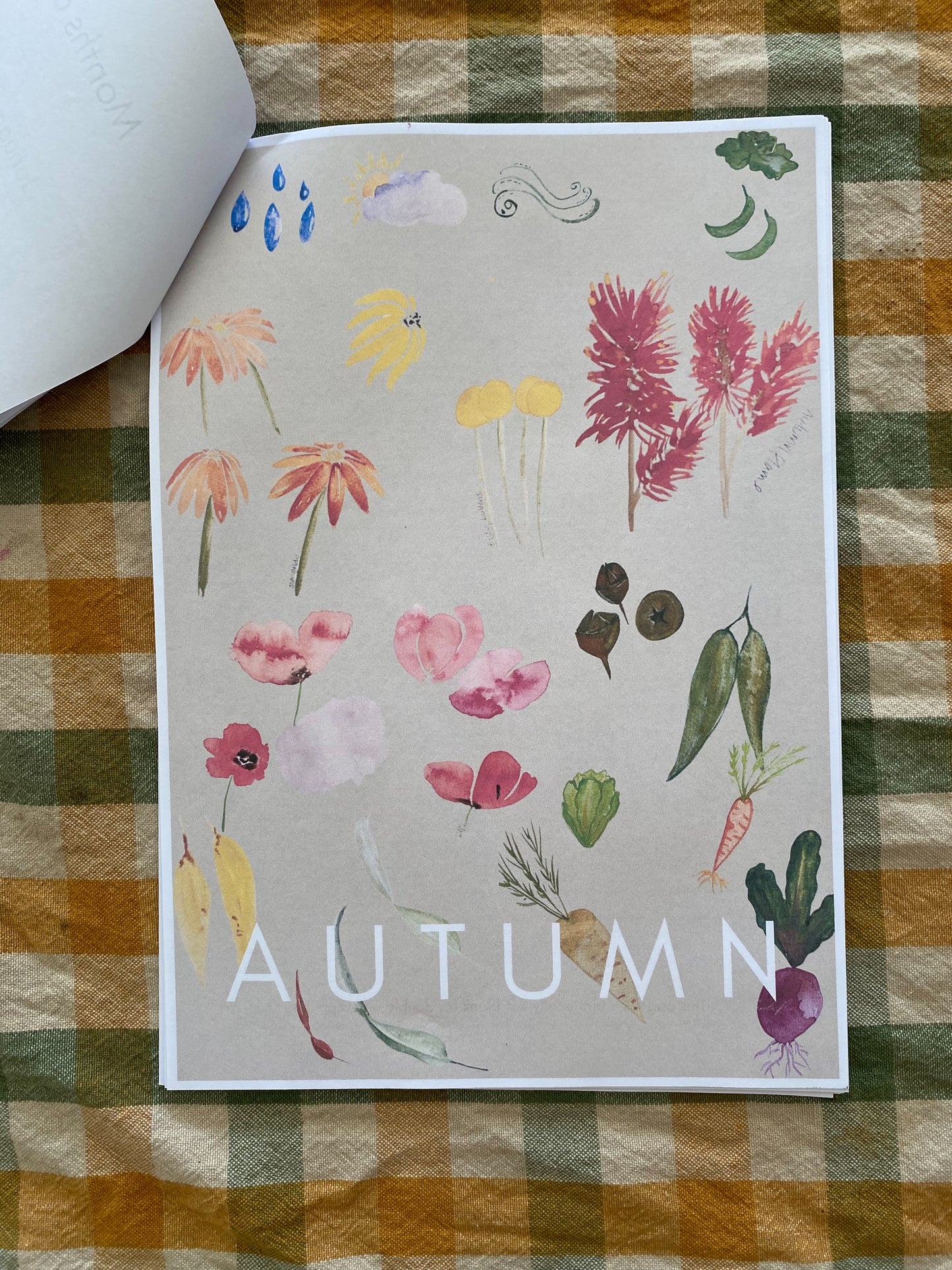 An Evergreen Autumn - Australian Curriculum Workbook (Foundation - Year 3) Print at Home