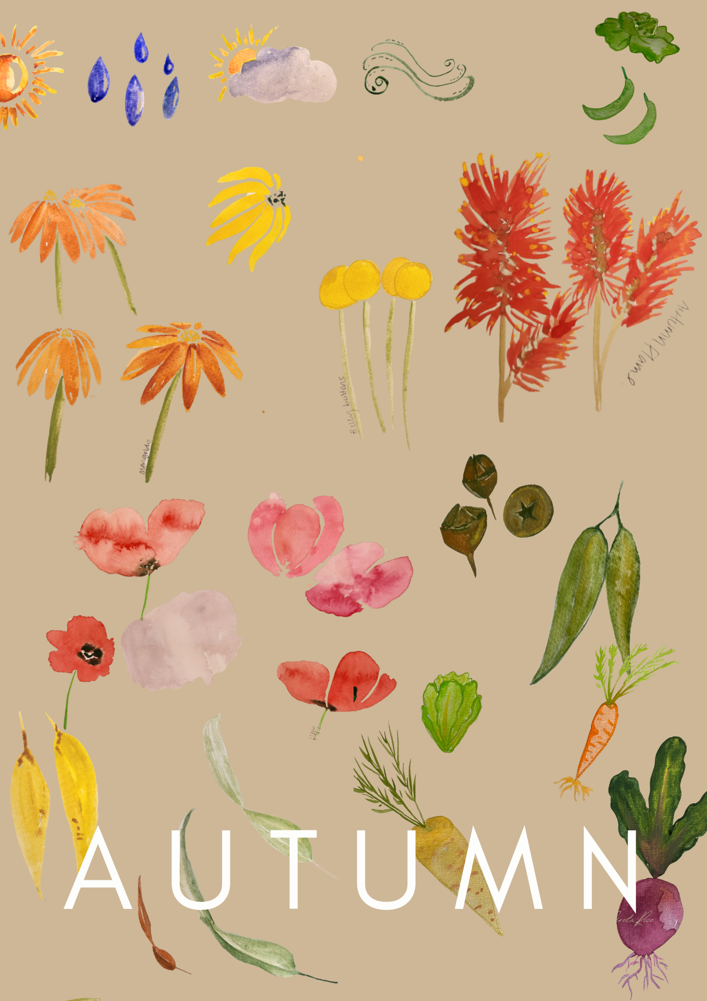 Autumn Poster - watercolour autumn florals and vegetables