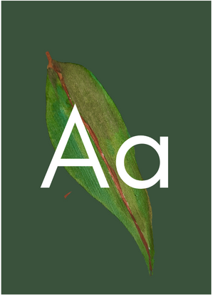 Alphabet Flashcards - ART EDITION