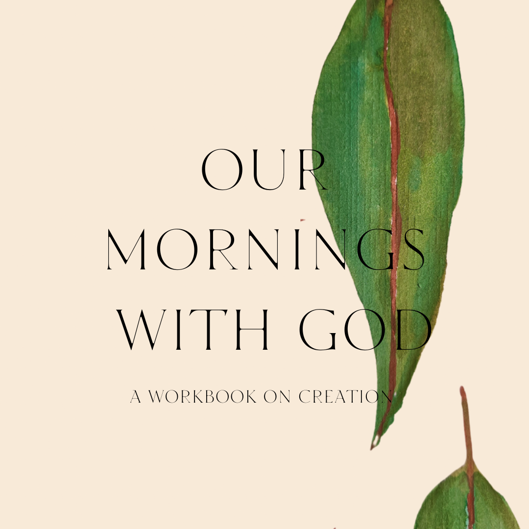 Our Mornings with God: Creation